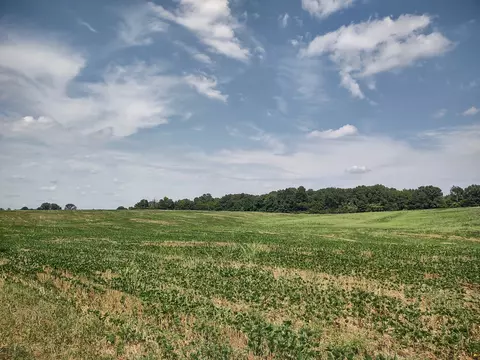 4030 Fizer Rd, Springfield, TN 37172 photo 2