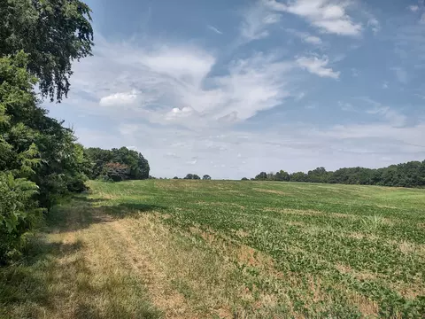 4030 Fizer Rd, Springfield, TN 37172 photo 3