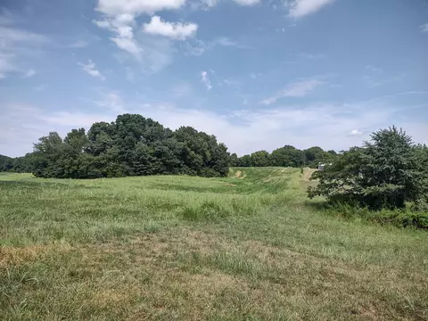 4030 Fizer Rd, Springfield, TN 37172 photo 4