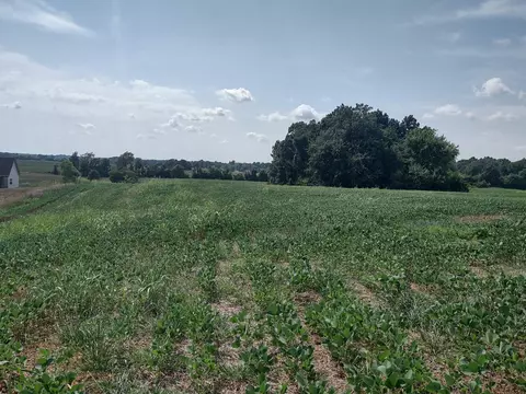 4020 Fizer Rd, Springfield, TN 37172