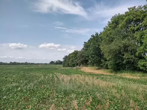 4020 Fizer Rd, Springfield, TN 37172 photo 2