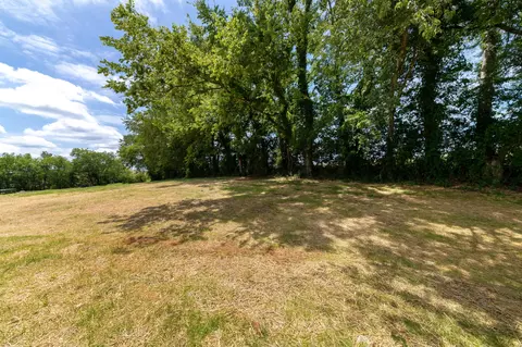 113 Tom Walker Dr, Beechgrove, TN 37018 photo 44