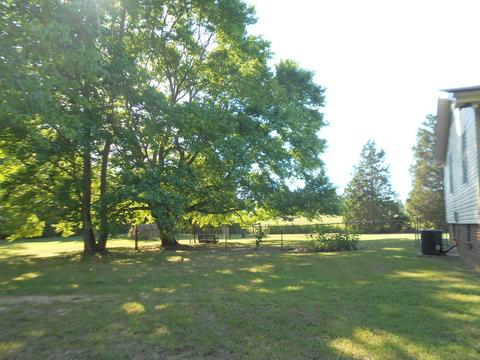 5651 Hall Ln, Springfield, TN 37172 photo 4