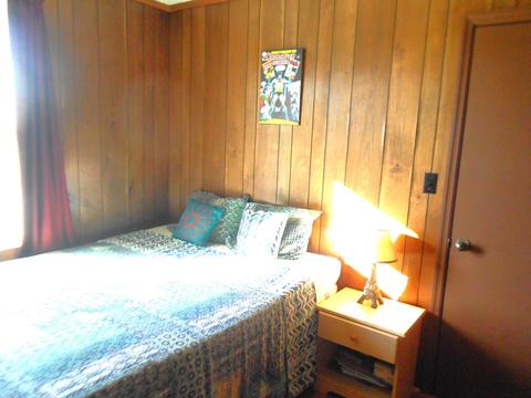 5651 Hall Ln, Springfield, TN 37172 photo 14
