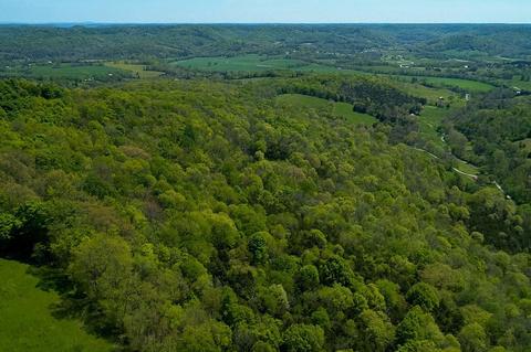 357 Hackett Valley Rd, Hickman, TN 38567 photo 14