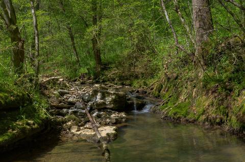 357 Hackett Valley Rd, Hickman, TN 38567 photo 42