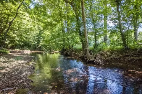 775 Ivy Lake Rd, Morrison, TN 37357 photo 63