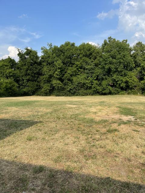 508 S Mabel St, Springfield, TN 37172 photo 16
