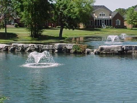 206 Black Bear Trl, Murfreesboro, TN 37127 photo 60