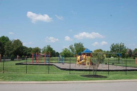 206 Black Bear Trl, Murfreesboro, TN 37127 photo 61