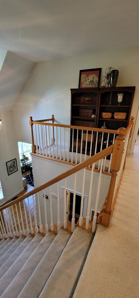 206 Black Bear Trl, Murfreesboro, TN 37127 photo 34