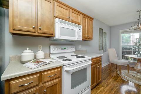 1005 Persimmon Dr, Spring Hill, TN 37174 photo 9