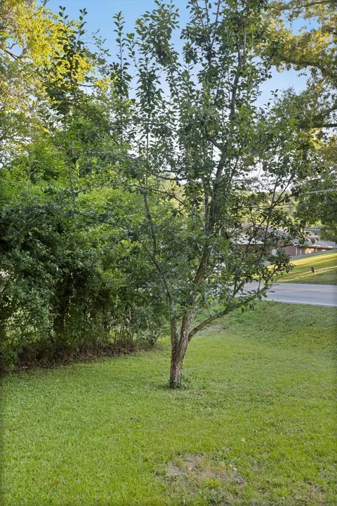 6615 Hunter Rd, Harrison, TN 37341 photo 29