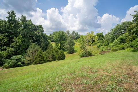 457 Waterloo Rd, Westpoint, TN 38486 photo 26