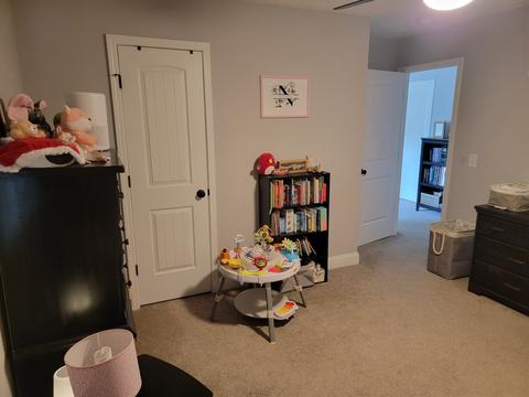 1090 Berra Dr, Springfield, TN 37172 photo 49