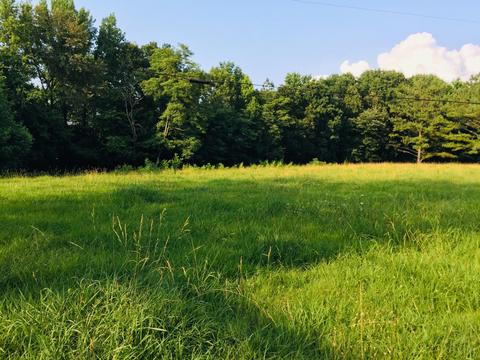 242 Minor Hl Hwy, Goodspring, TN 38460