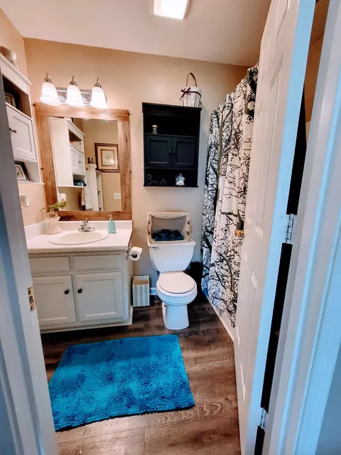 119 Greystone Dr, Springfield, TN 37172 photo 10