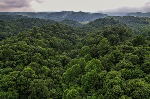 0 Highway 52 W, Celina, TN 38551