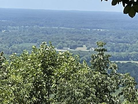 658 Cedar Mountain Pl, Decherd, TN 37324 photo 4