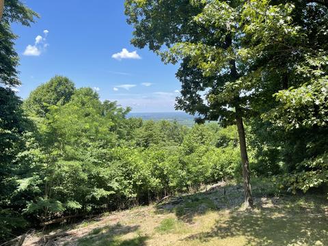 658 Cedar Mountain Pl, Decherd, TN 37324 photo 52