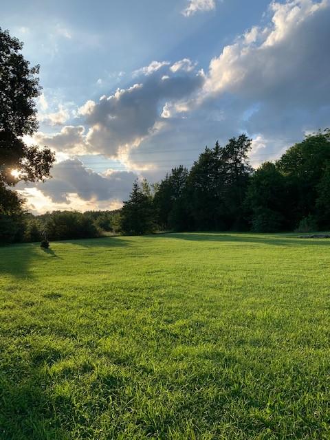 1607 John Windrow Rd, Eagleville, TN 37060 photo 6