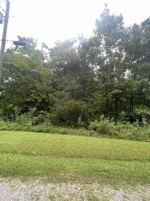 488 Cheyenne Cir, Beechgrove, TN 37018 photo 1
