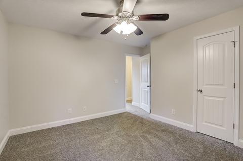 216 Dimaggio Dr, Springfield, TN 37172 photo 17