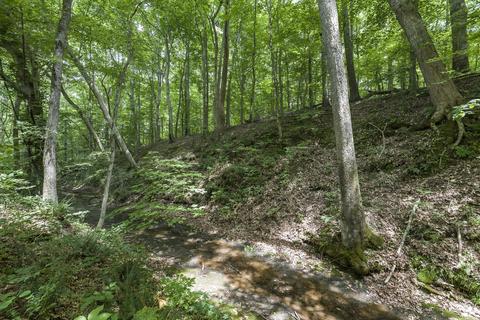 3155 Burr Rd, Springfield, TN 37172 photo 51