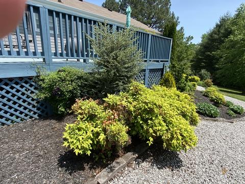 3155 Burr Rd, Springfield, TN 37172 photo 62