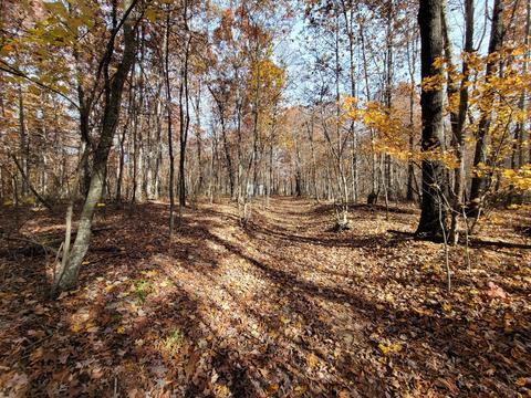 1678 Yoder Rd, Altamont, TN 37301 photo 2