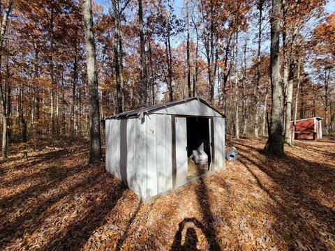 1678 Yoder Rd, Altamont, TN 37301 photo 4