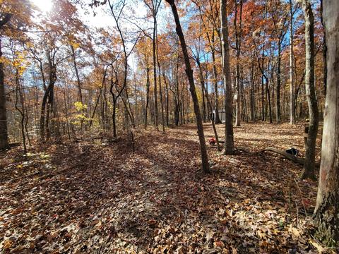1678 Yoder Rd, Altamont, TN 37301 photo 9