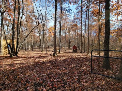 1678 Yoder Rd, Altamont, TN 37301 photo 8