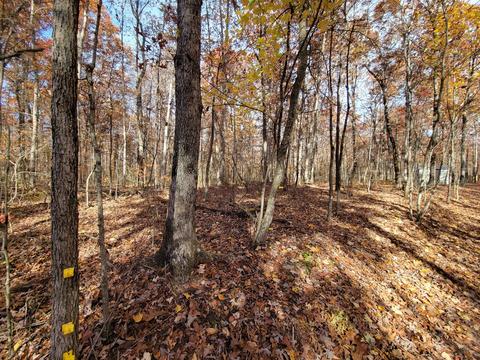 1678 Yoder Rd, Altamont, TN 37301 photo 3