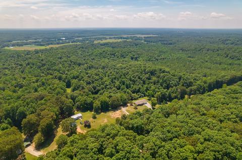 404 Fowler Rd, Beech Bluff, TN 38313 photo 35