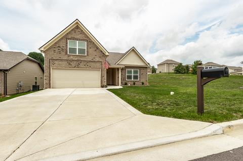 1115 Berra Dr, Springfield, TN 37172 photo 3