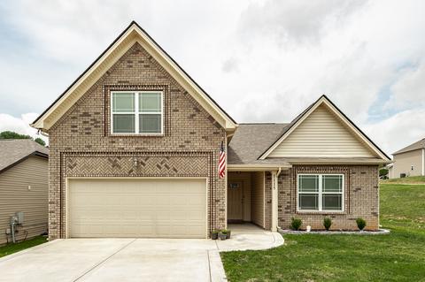 1115 Berra Dr, Springfield, TN 37172 photo 1