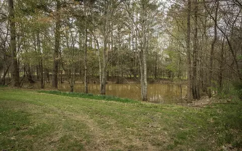 3702 Three Notch Rd, Ringgold, GA 30736 photo 6