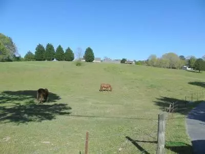 8916 Bramlett Rd, Harrison, TN 37341 photo 24