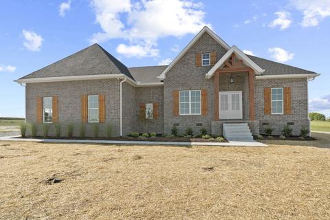 5557 Borthick Rd, Springfield, TN 37172 photo 2