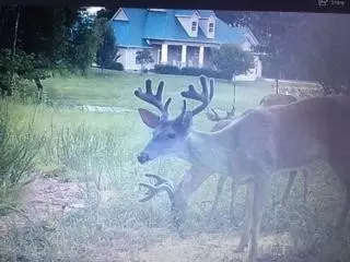1899 Jackson Point Rd, Sewanee, TN 37375 photo 6