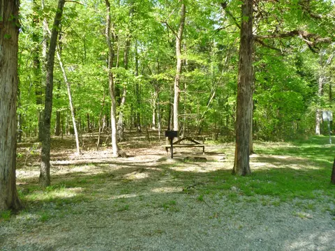 7271 Will Dr, Harrison, TN 37341 photo 55
