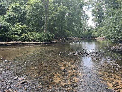 0 Hills Creek Rd, Mcminnville, TN 37110