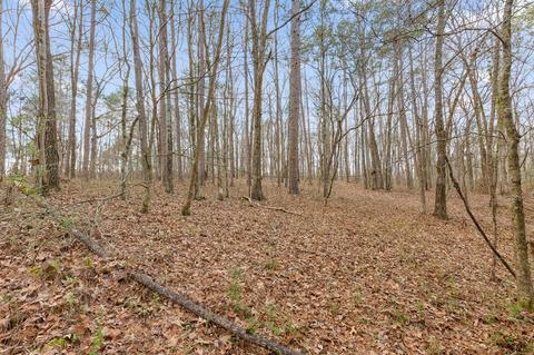 7104 Mcdaniel Rd, Harrison, TN 37341 photo 5