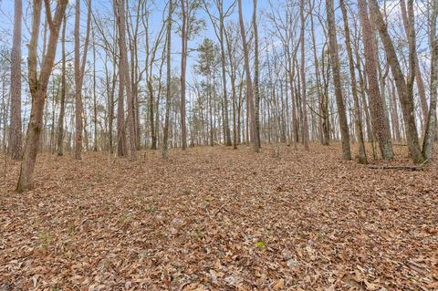 7104 Mcdaniel Rd, Harrison, TN 37341 photo 23