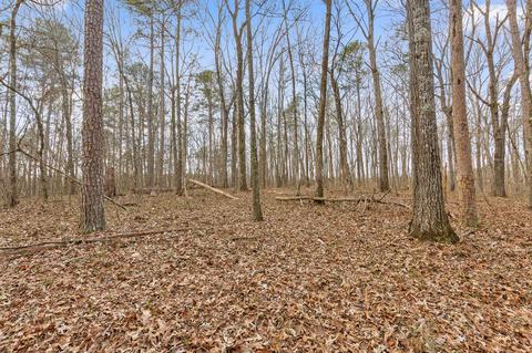 7104 Mcdaniel Rd, Harrison, TN 37341 photo 25