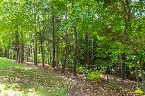 3153 Reflection Ln, Ooltewah, TN 37363 photo 52