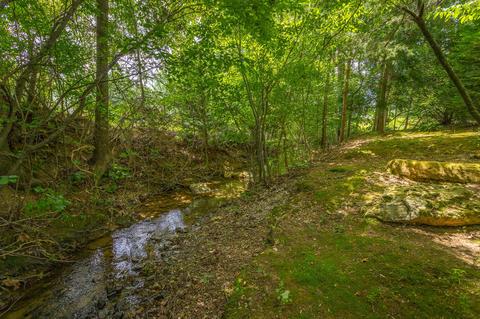 3631 Windbridge Dr, Apison, TN 37302 photo 16