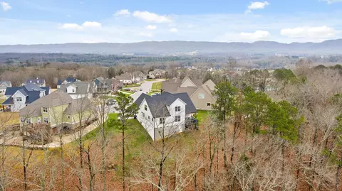7134 Will Dr, Harrison, TN 37341 photo 53