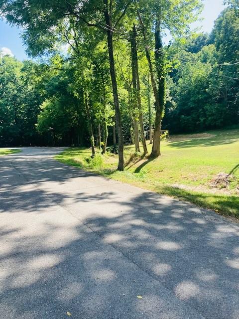 61 Spring Valley Rd, Taft, TN 38488 photo 10